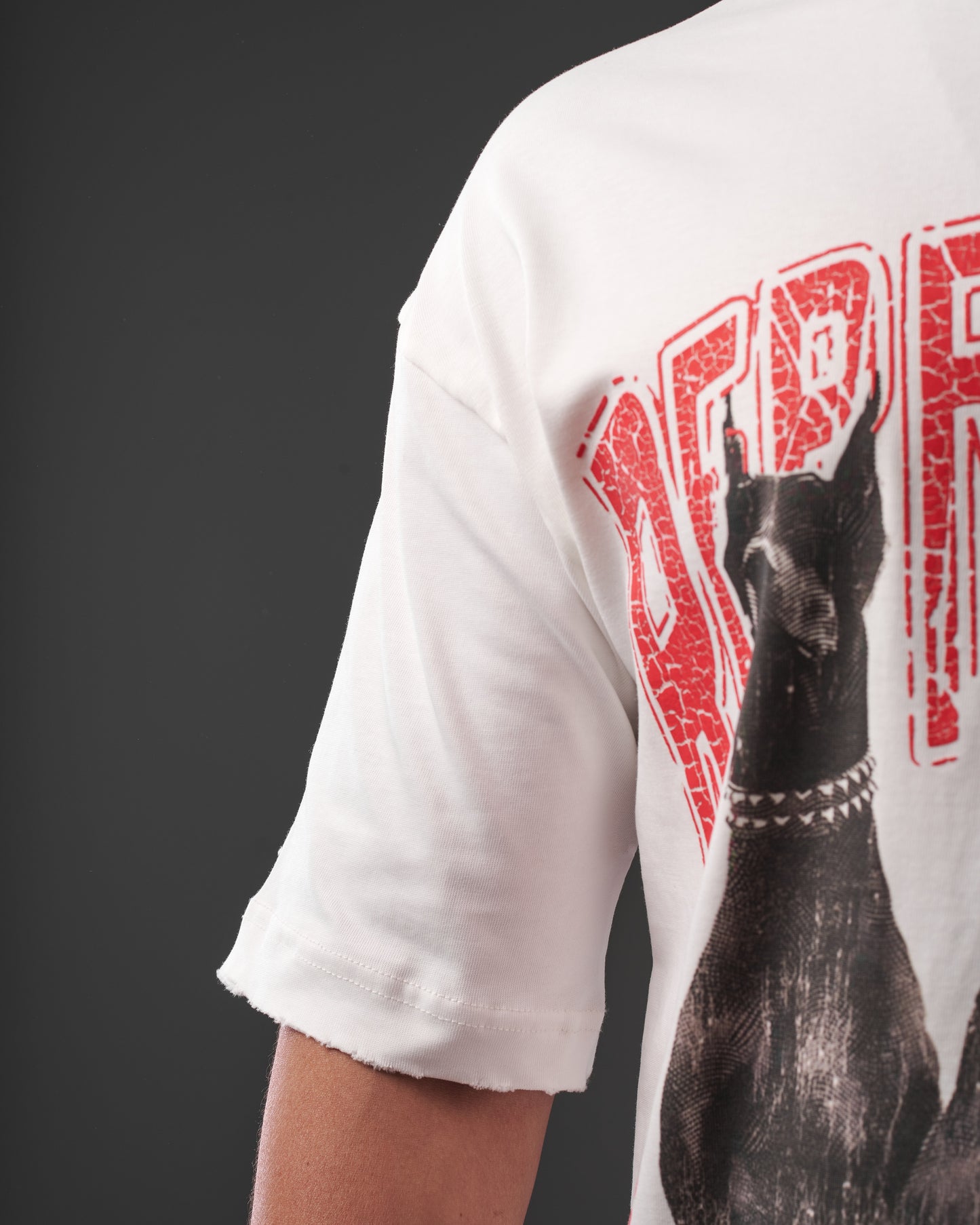 CONTRASt PRINTED T-SHIRT